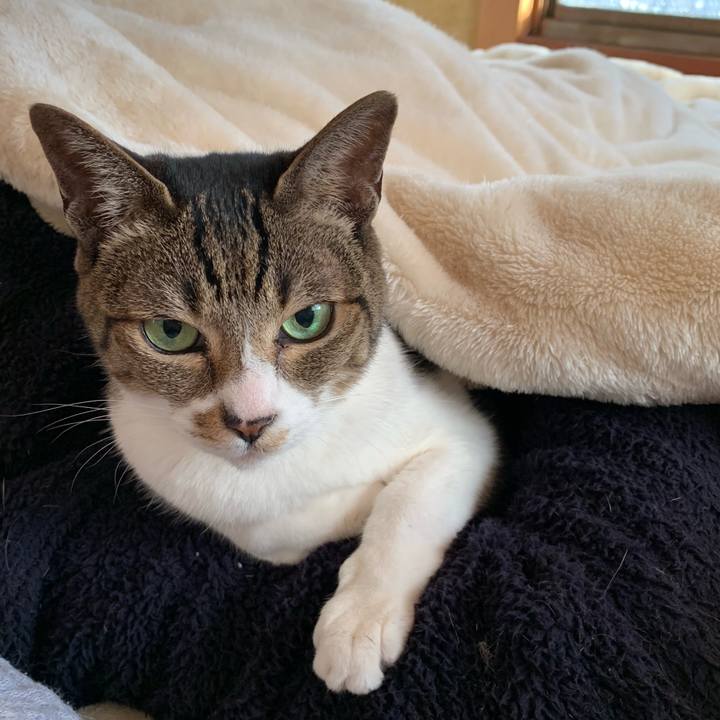 0841bdcf f3b4 4d01 9421 73338bd88c11 1547429251630