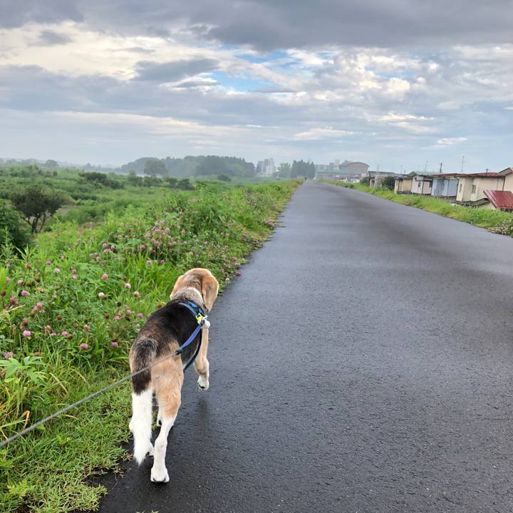 0841bdda 9150 408c b33c 05f6b1ef5a10 1596980594006