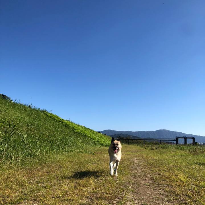 0841c425 d533 483c a01d a48b5f2ed1b3 1603624897873