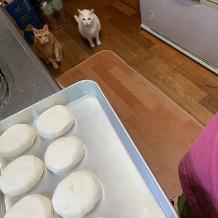 0841f73a 98ba 46ff a96b 1c4b3dc413dc 1610114735047