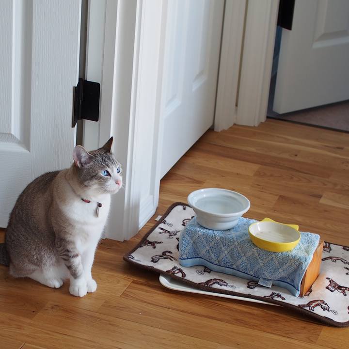 08420634 56df 4c24 9c05 26b49fd9c6b2 1594252398455