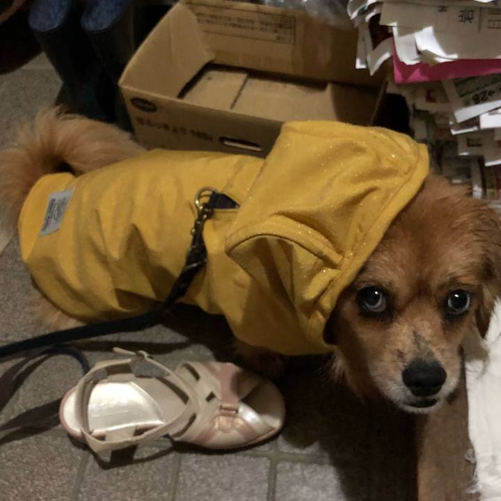 08421fc9 41fb 4260 98a4 960bb6e55542 1530738094132