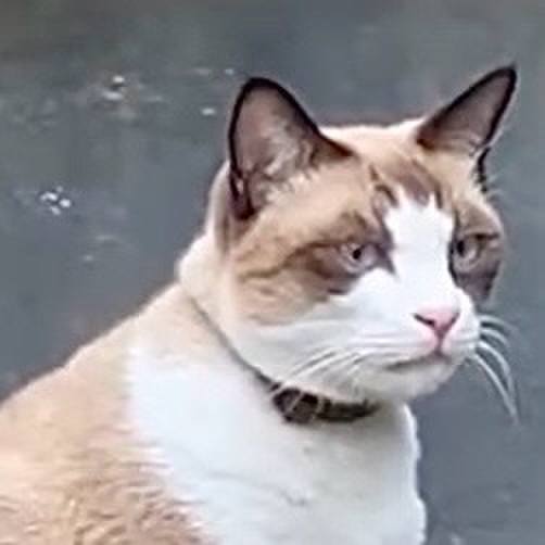 084234cd c414 4a3d 8109 07dd30356beb 1729408373873