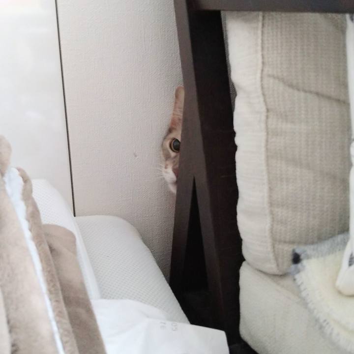 08424de8 6fb6 45ad ac4f 2da68f9860f9 1610845097972