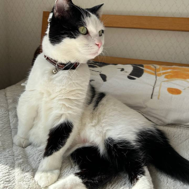 084253ad 029b 4b64 9626 ed164e6bf088 1770245058324