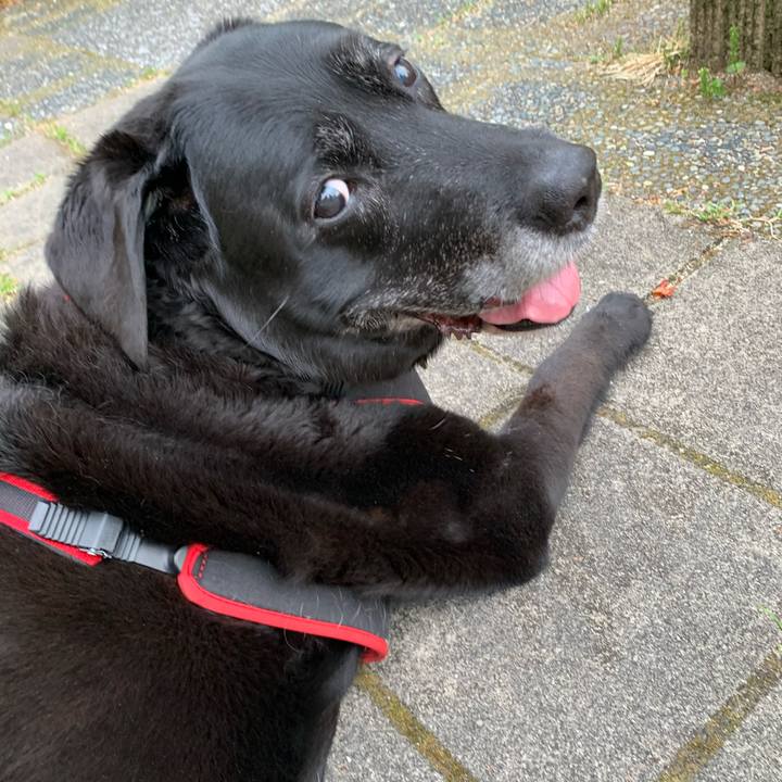 084257e9 f4f0 46d6 9ced b810718d8663 1588825520815