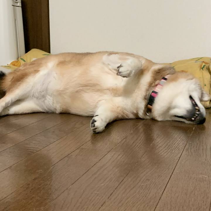 08425f87 80bf 4b35 9512 0e72c2ef7e73 1627901879327