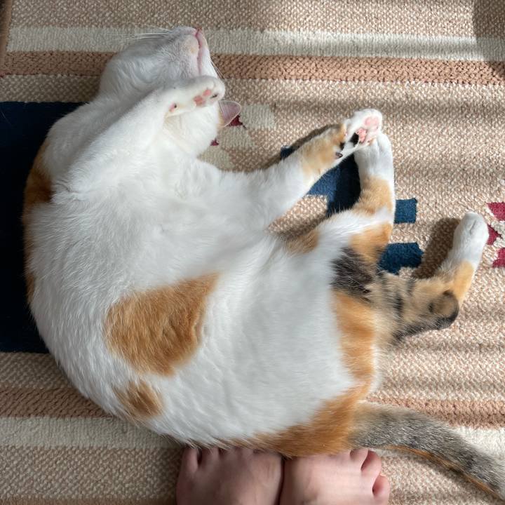 08427eb4 03db 40ed 86c0 e6745b4e916b 1660802569272