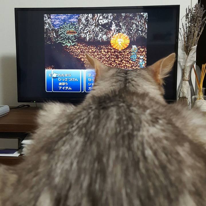 0842be38 a85c 4680 95bb c92e26bcc3bc 1556891929884