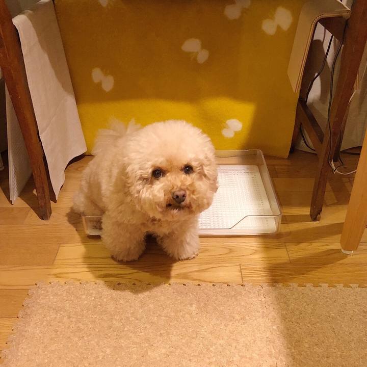 0842bf1e 064f 4de2 bbb0 69b082308808 1507845512963