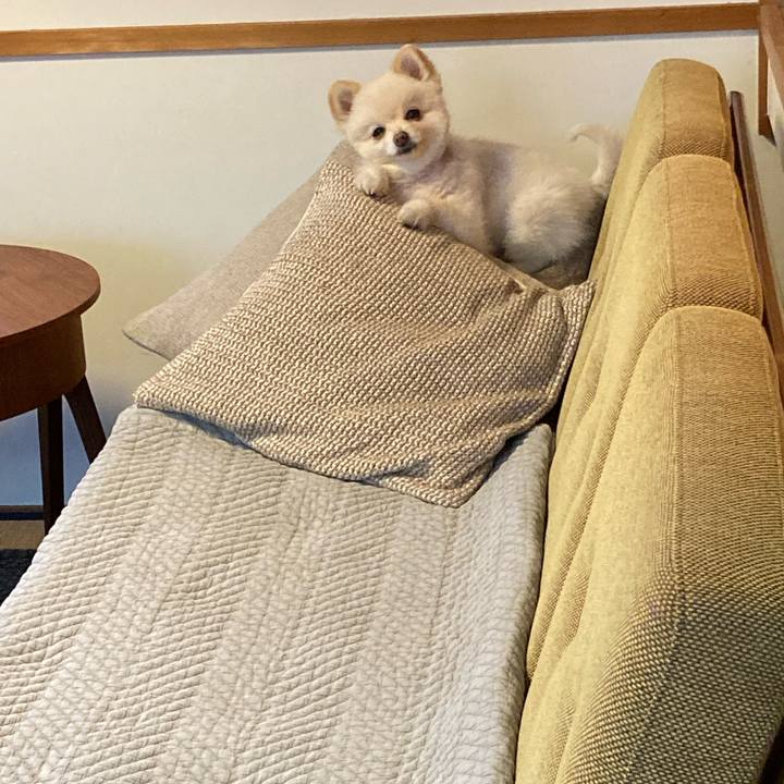 0842c483 9b5c 410d a50e d981ffffab9b 1647906120100