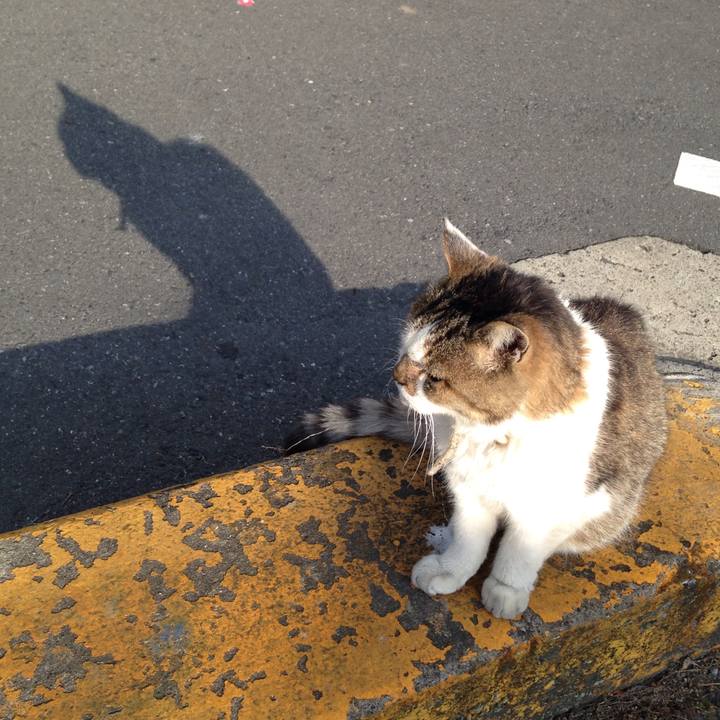 084333f2 012f 44fc a876 cfac669335cc 1510574278365