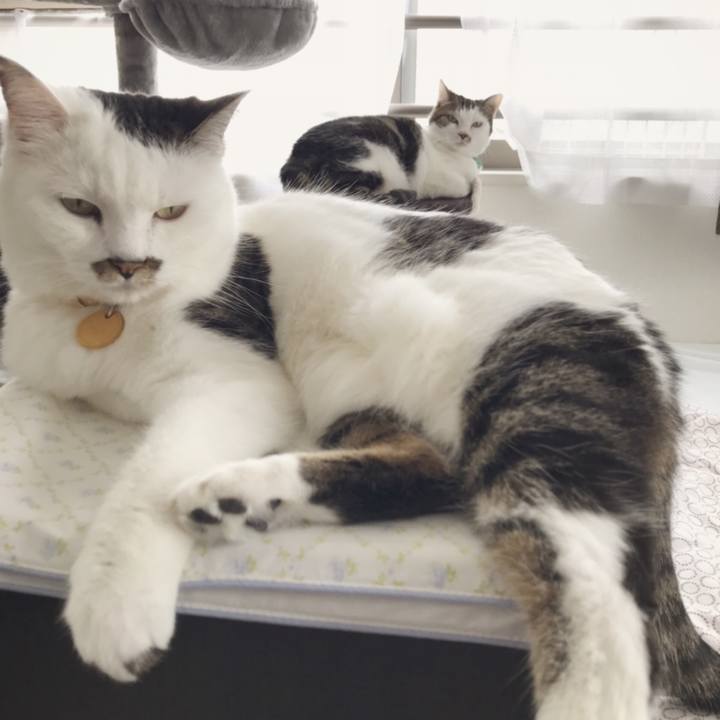 08434250 5064 4f64 837f 77cf8232c6c1 1559358591218