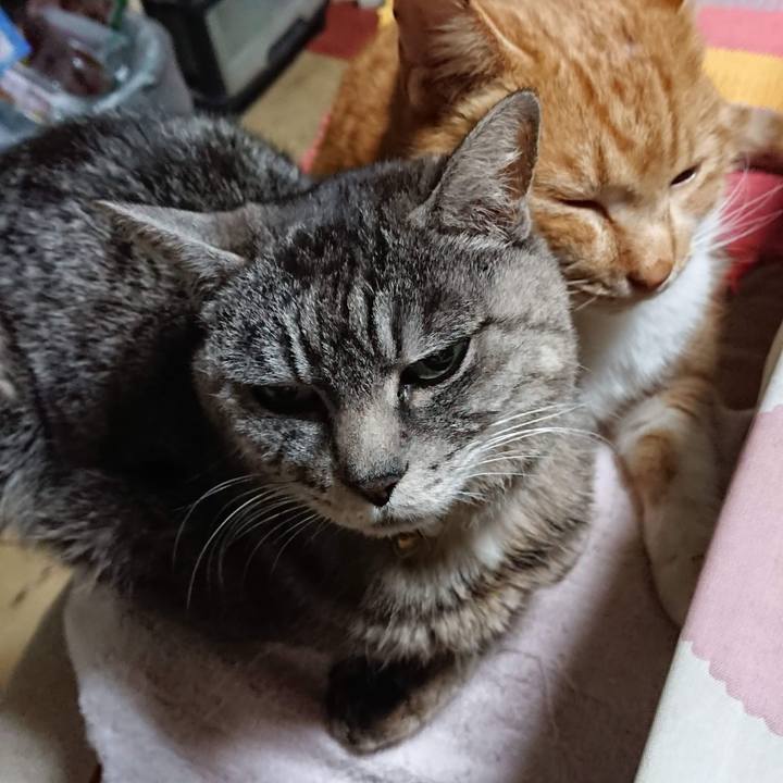 08434ad3 bdef 4819 8570 212d3bc204cc 1550751983157