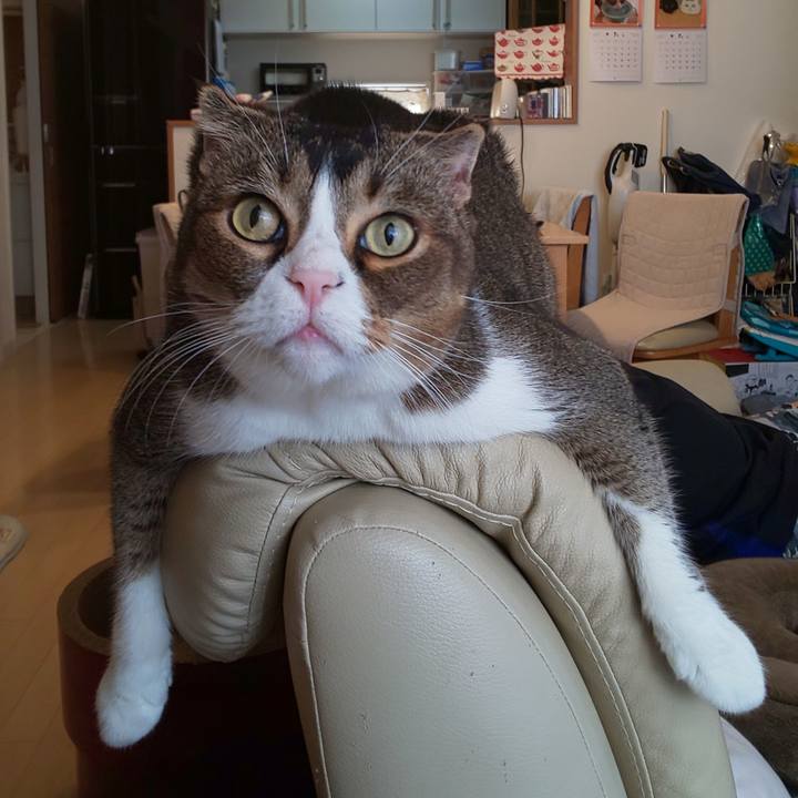 084391e8 454e 4a69 885f 6adfde674223 1626995602970