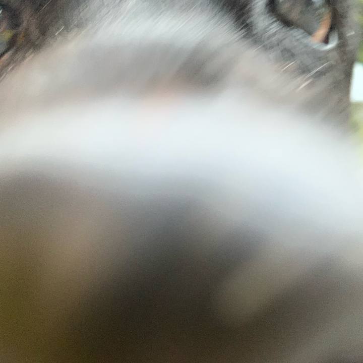 0843bf3d ed42 4c9e b431 acf15c607b07 1636955948706