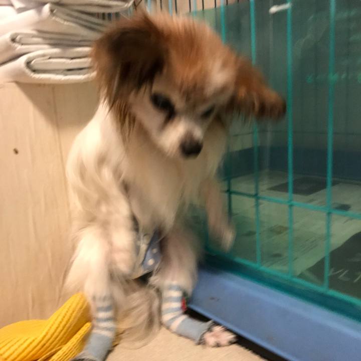 0843d511 2df3 4618 a8fb 18a263d97335 1520158718765