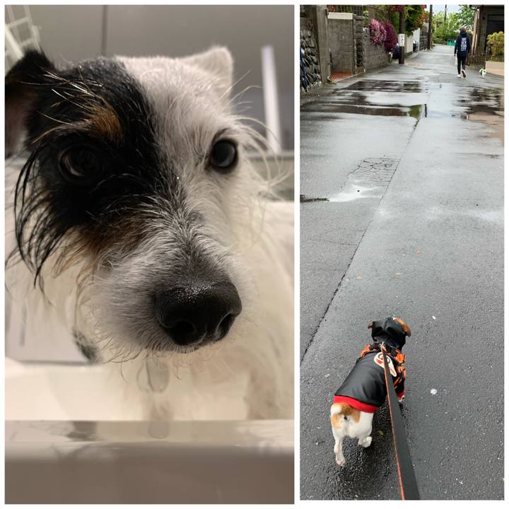 0843d826 9441 4468 97d2 842337214188 1587187391581