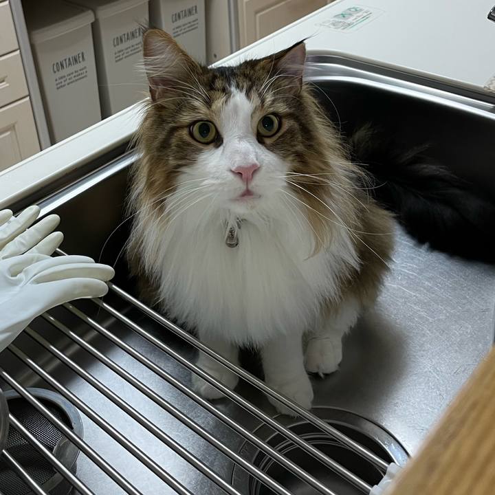 0843ebb7 7cc4 4575 8be2 e4ef85c97deb 1675798242046