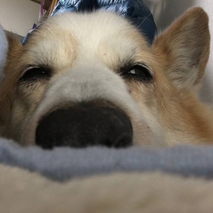 08443093 0616 4394 89dc 9ef7f811509f 1549097583530