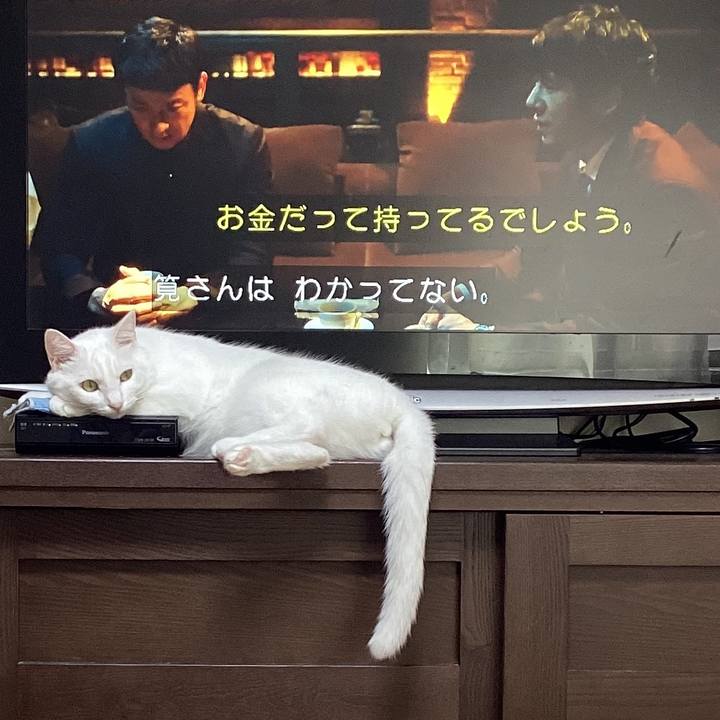 08446539 5272 4a1e bac1 baa797eaac6d 1696666807600