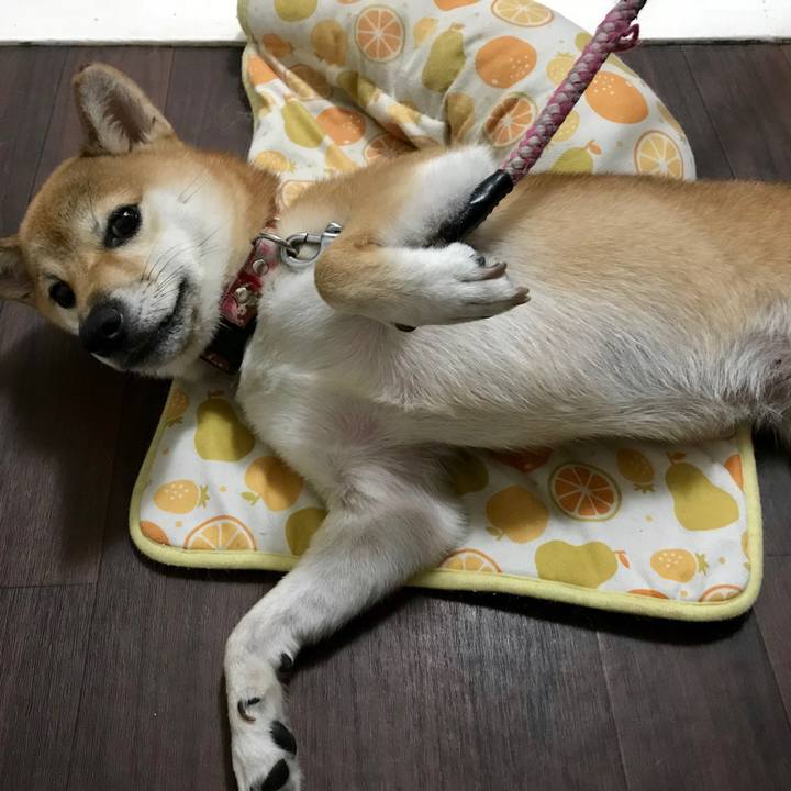 08446ac5 bcc4 4eb9 b96e d62f920606ff 1540107847754