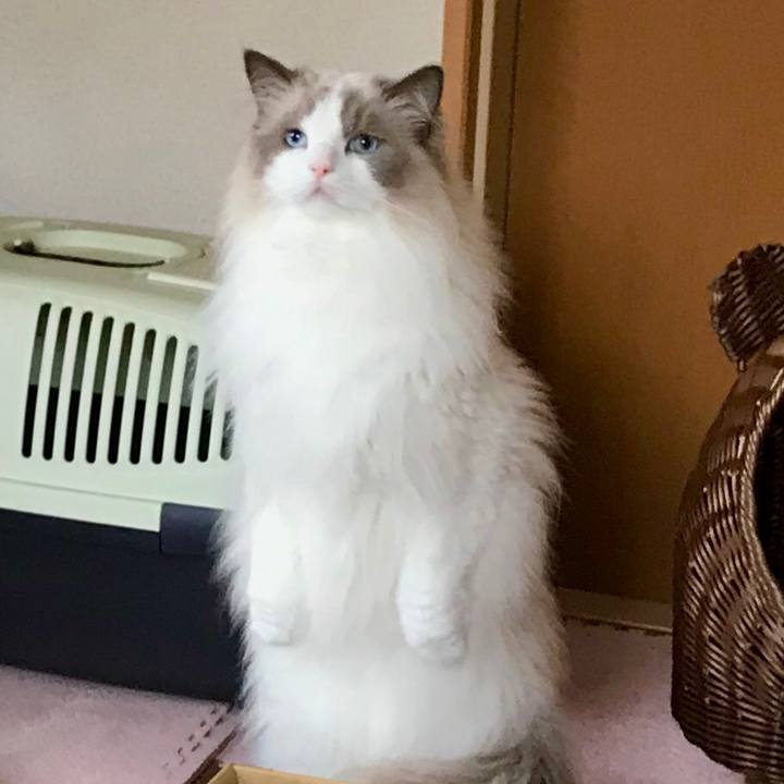 0844daf0 6095 498a 94db 9bf3128a318e 1596088883276