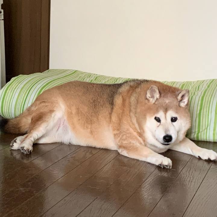 0844e13a 70c4 4371 8a41 41c621977811 1631055781945