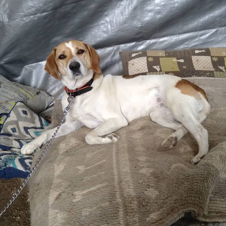 0844e3a6 fa6c 4700 99a4 700891137d5e 1622100889078