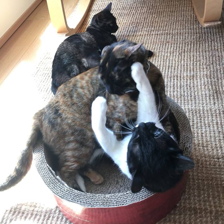 084529f5 1c13 4849 8ee8 81bc8eac9719 1518966850644