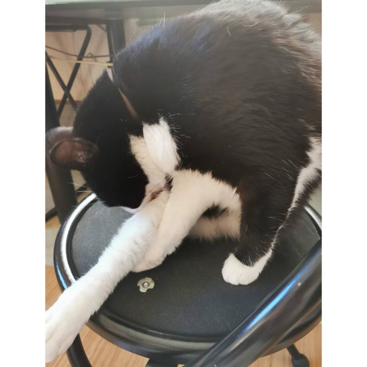 08453eed af17 4fc2 81a1 fb43b8c4fb65 1700626158036