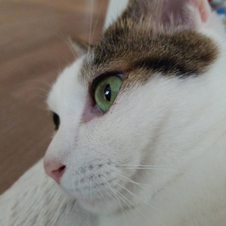 08458e07 9434 4af3 a45b 44095f08515a 1558043443667