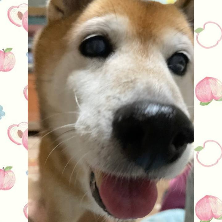 0845a5a4 a747 4500 bcc8 368d8b984644 1729757006269