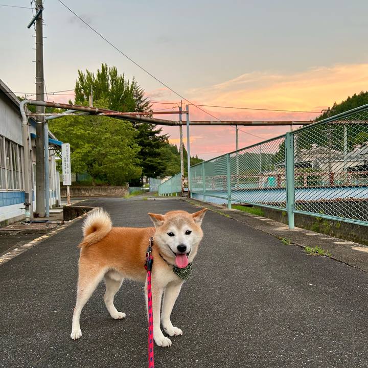 08461da0 44f3 4013 bb4f b62785f8e439 1755257581210