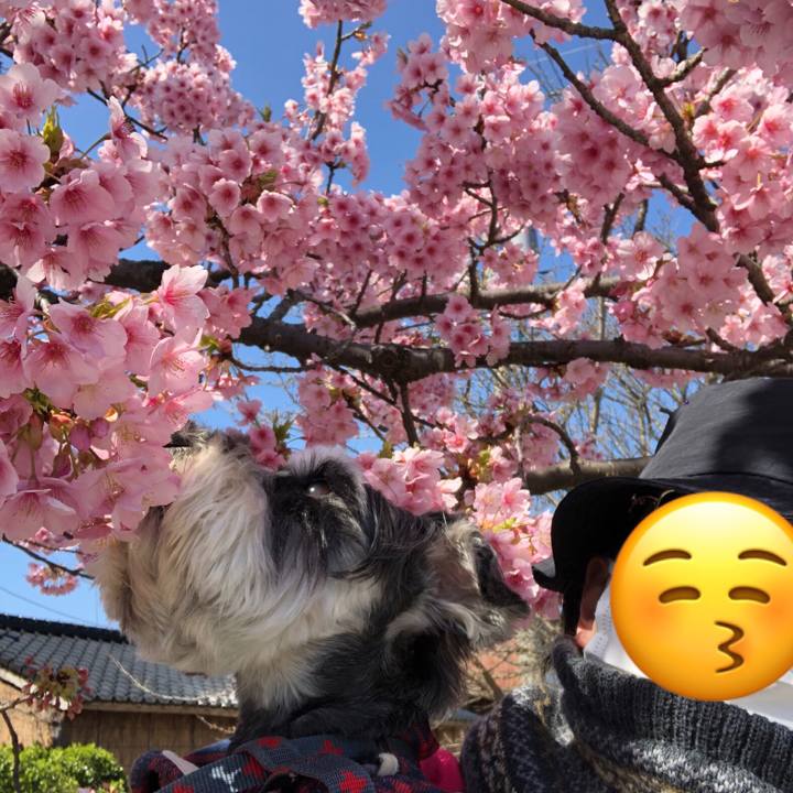 08462fa4 a50b 48d2 bc37 2aca6eba0b95 1679405014127