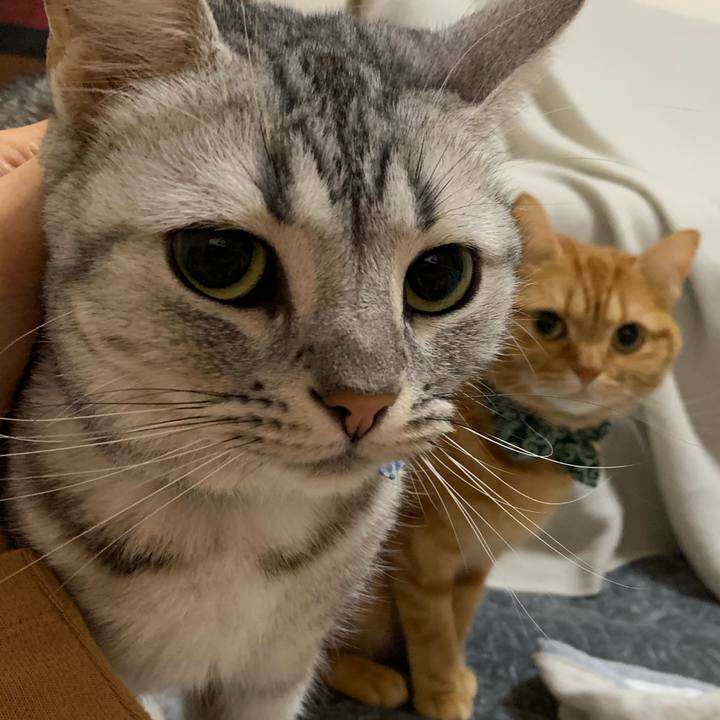 08463b20 d550 45bf 9736 c4e85c4c0d9c 1571748197889