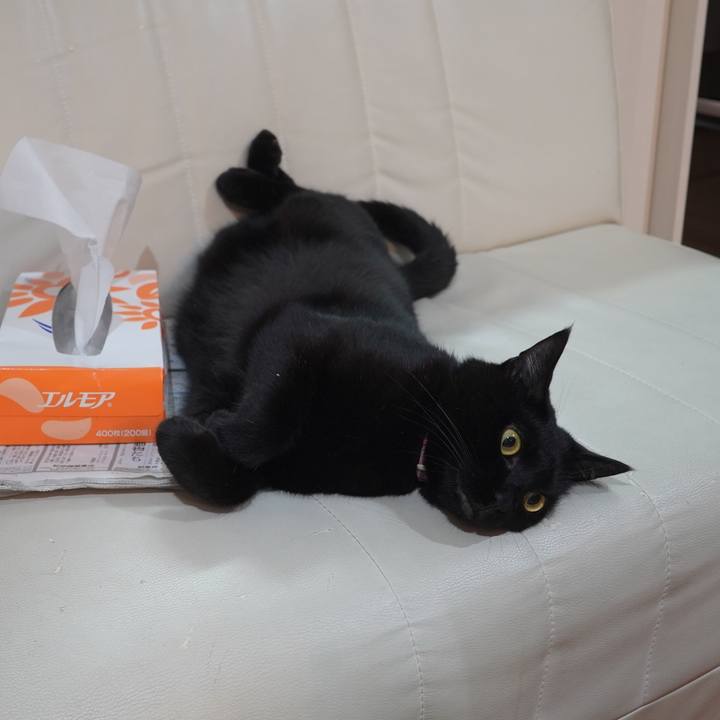 08463cc2 c49f 40d0 b21b f9d82ffb5b6c 1600213812453