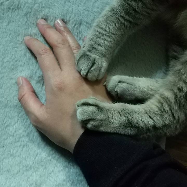 08463ed9 b512 4ef2 9ea2 5eeecf2e07dc 1637233763436