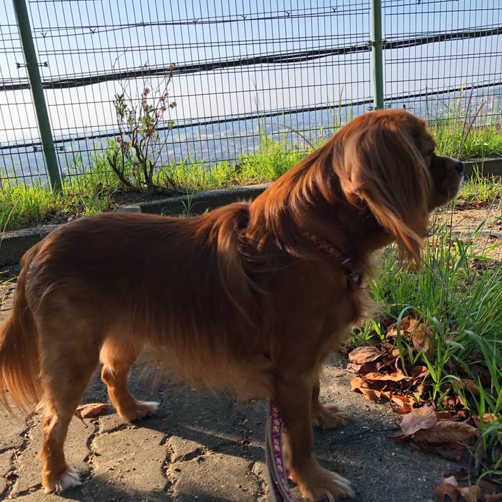 08465546 3b95 43e4 9e70 141aec938533 1568594254064