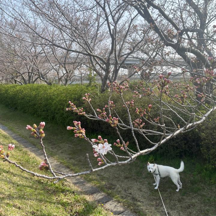 08466a74 d9c6 4855 b259 c82efbb94966 1711757969145