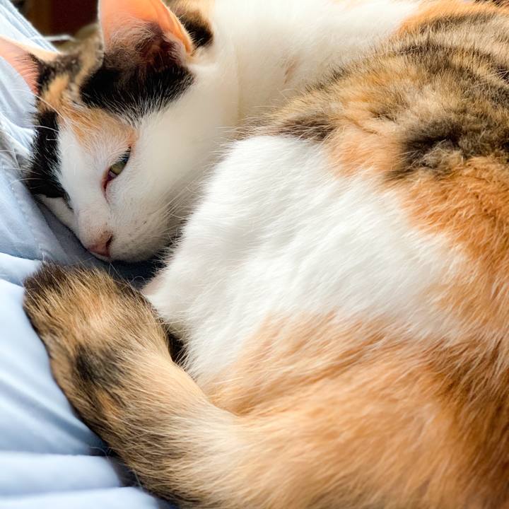 08467b52 210e 4494 862b 4605765dbaad 1565572787117