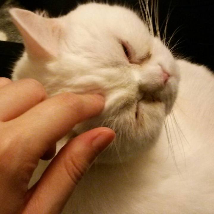 08469c7b 63eb 4f5b b8c2 fda3df57331a 1521557707037