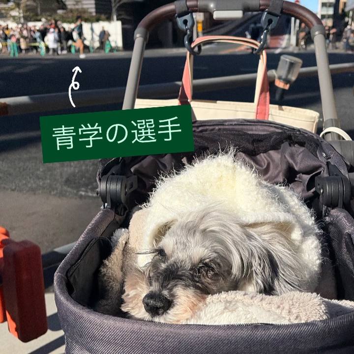 0846a841 0eaa 4c70 bb8f 552df62e871f 1767417713427