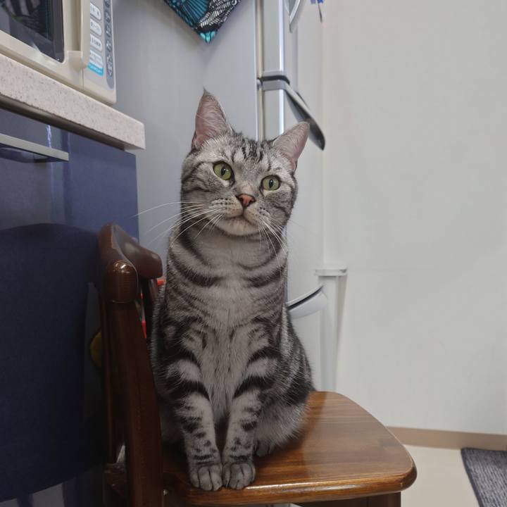 0846be97 be3f 46c8 bd4a 41c9a39f8d66 1620799327256