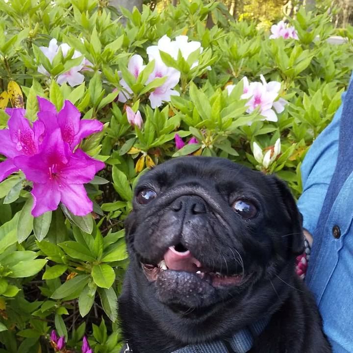 0846c99c eb4a 412c b0eb 2b518db370c0 1557380114156