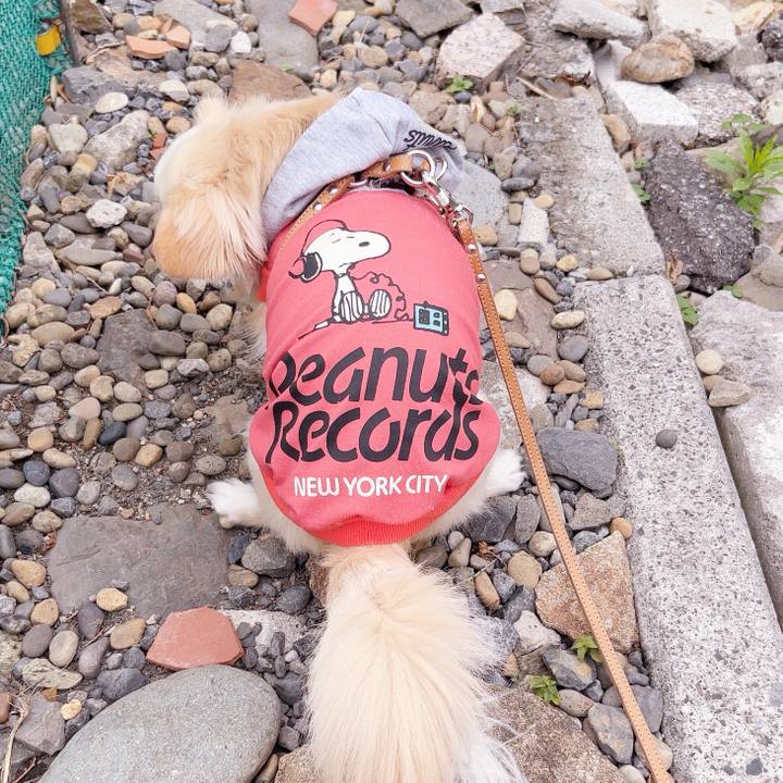 0846f5d7 4a4e 4bb2 abb4 0a9520b0cb0e 1748242290308