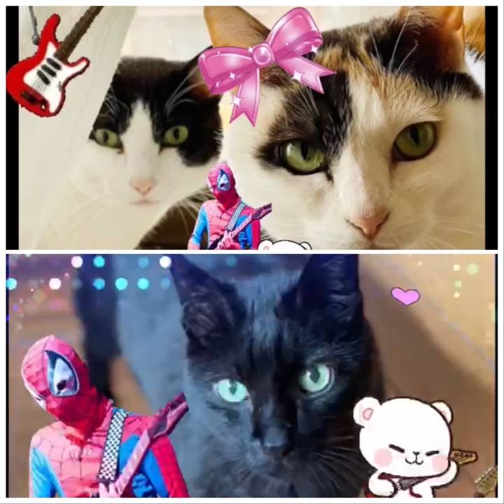 084702fc b3a0 46ac 99bc b2520c51597a 1651548604056