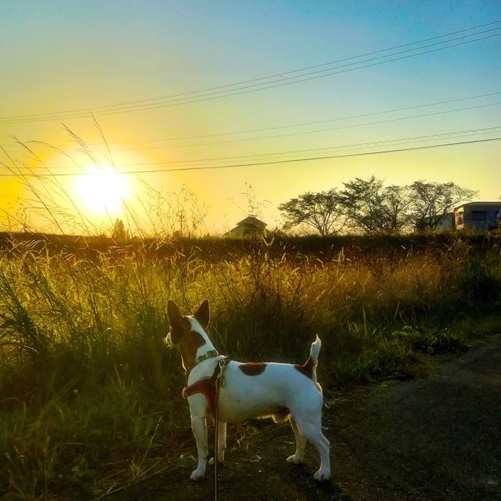 08472693 10a9 4575 beaa 5edd21d6c685 1510220305061