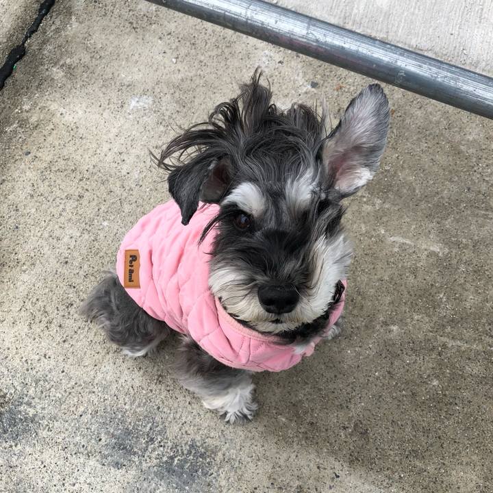 08473423 00ee 451d 883e 514c0e90ddd4 1708605437128