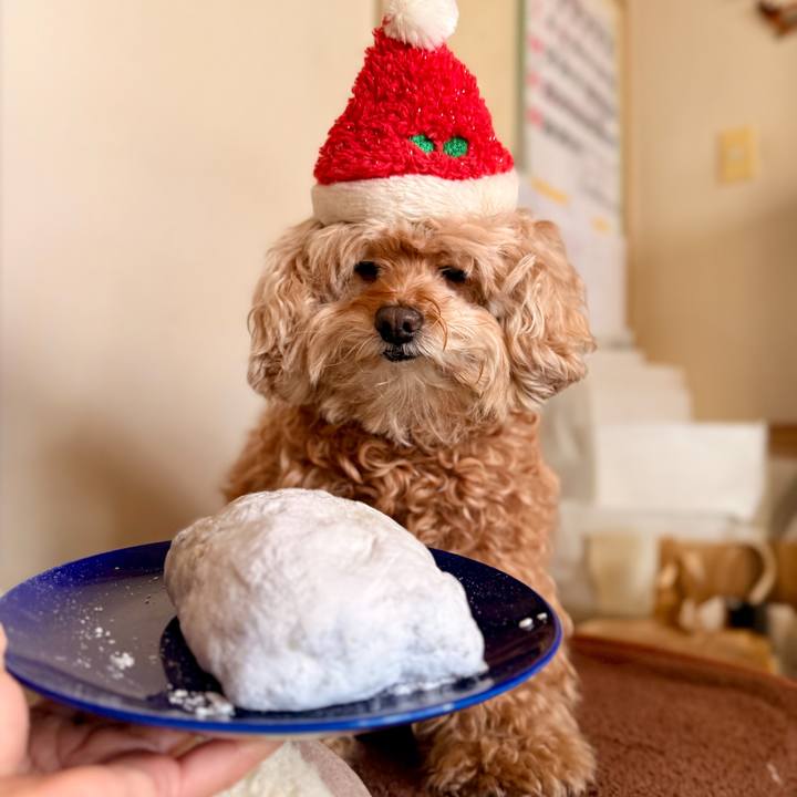 08473e6d 4a21 4a10 8bfc 71c4311a3256 1766713729163